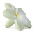 OLI&CAROLПрорезыватель для зубов BALI THE FLOWER OLI&CAROLПрорезыватель для зубов BALI THE FLOWER